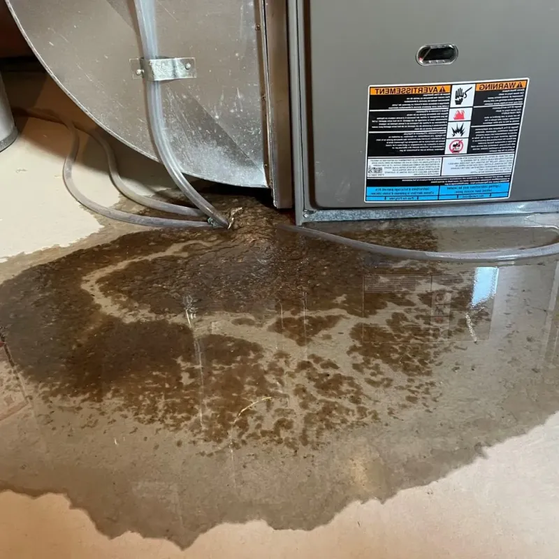 Pipe Burst and Leak Restoration in Ferndale, PA