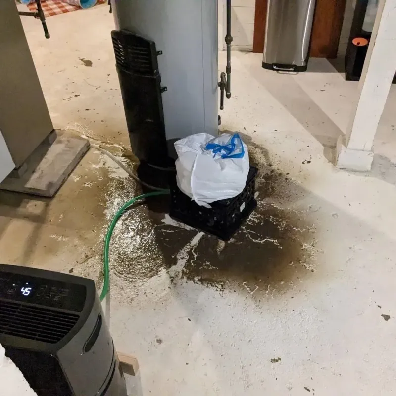 Sewage Backup Cleanup Service in Ferndale, PA
